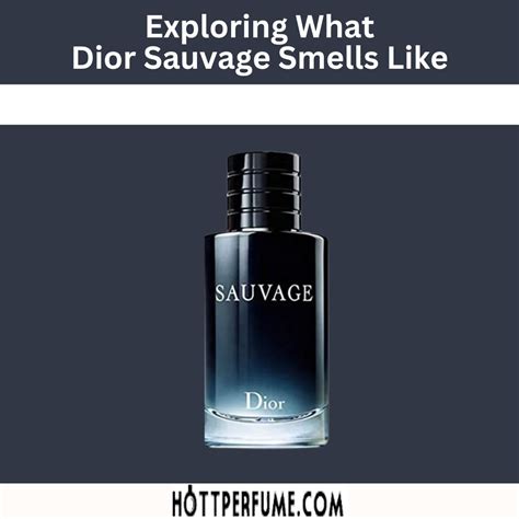 sauvage dior tones|what does Dior Sauvage smell like.